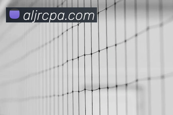 pa真人视讯品牌故事